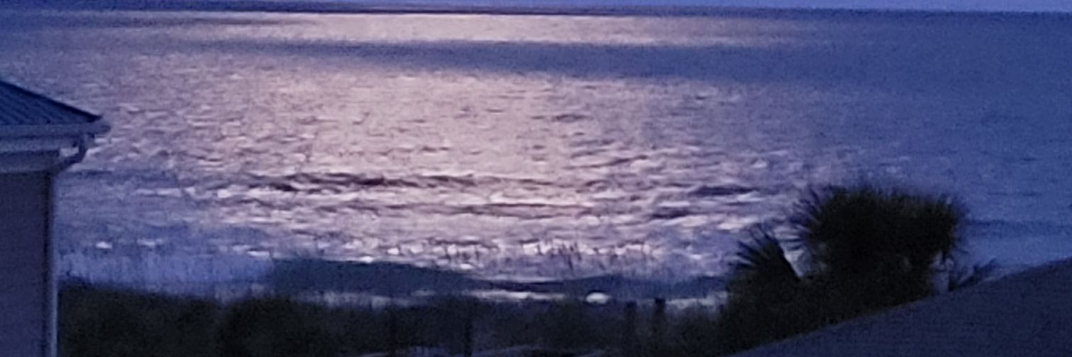 MaryBranigan's profile banner image