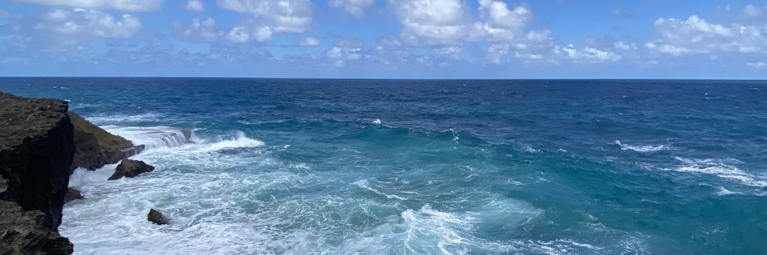JShiee's profile banner image