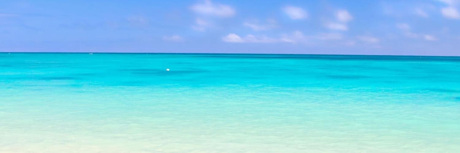 merysinfiltro's profile banner image