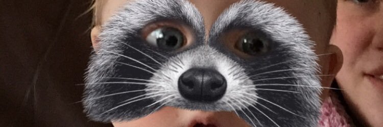 TheGibbinator's profile banner image