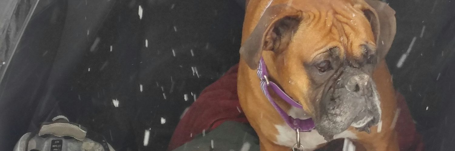 tjguze's profile banner image