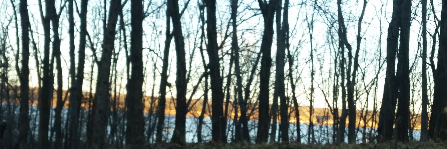 jrosepat's profile banner image
