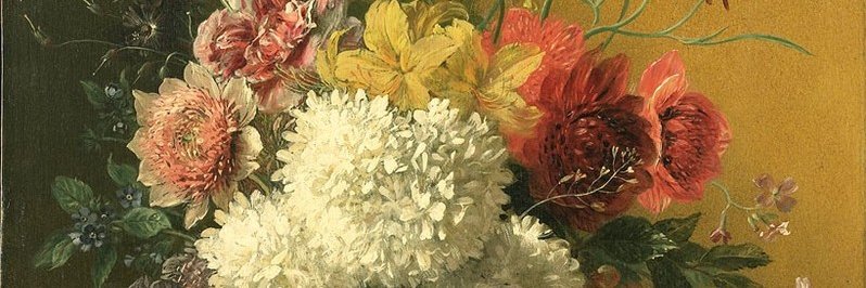 OpenCultuurData banner