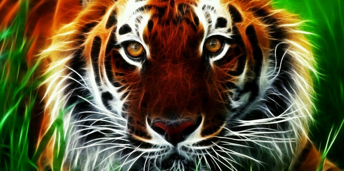 Travis Hinton banner