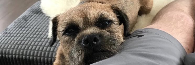 annaleebryson95's profile banner image