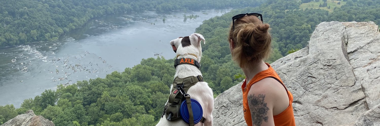 JessFrisbie24's profile banner image