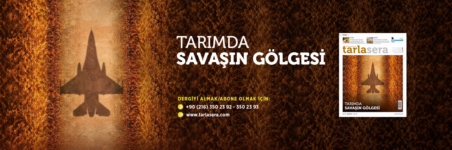 tarlasera banner