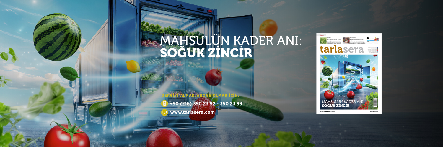 tarlasera's profile banner image