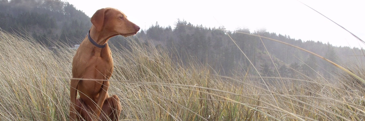 johnjcoute's profile banner image