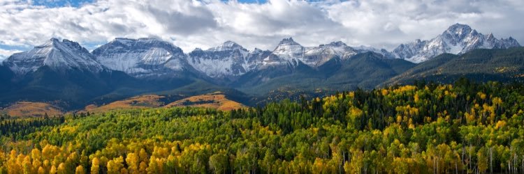 Janet Buckner banner