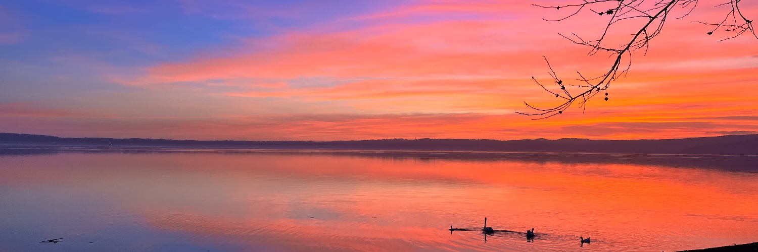 Indro Spinelli banner