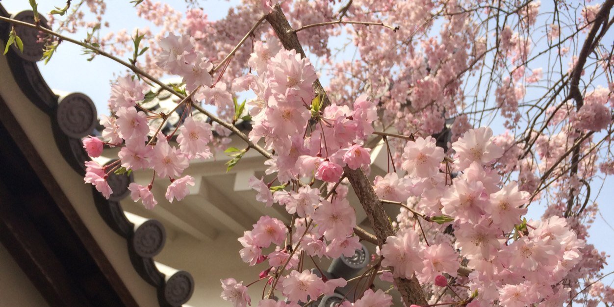 nonn31's profile banner image