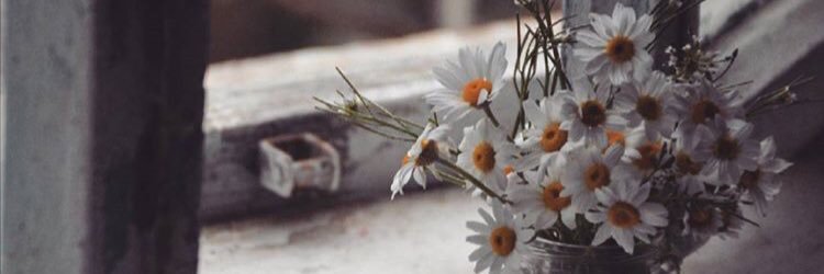 noormatar_'s profile banner image