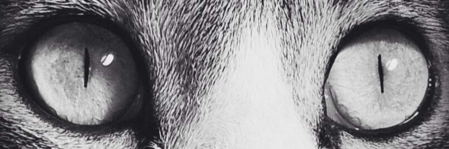 jxkum's profile banner image