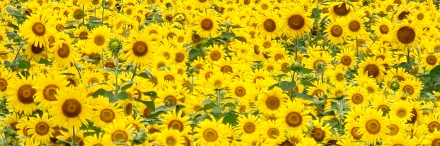 RU0515's profile banner image