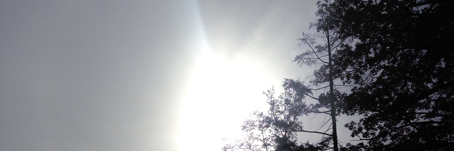 elixir_field's profile banner image