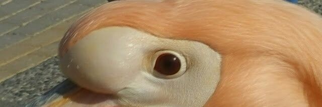 _FatManSlims's profile banner image