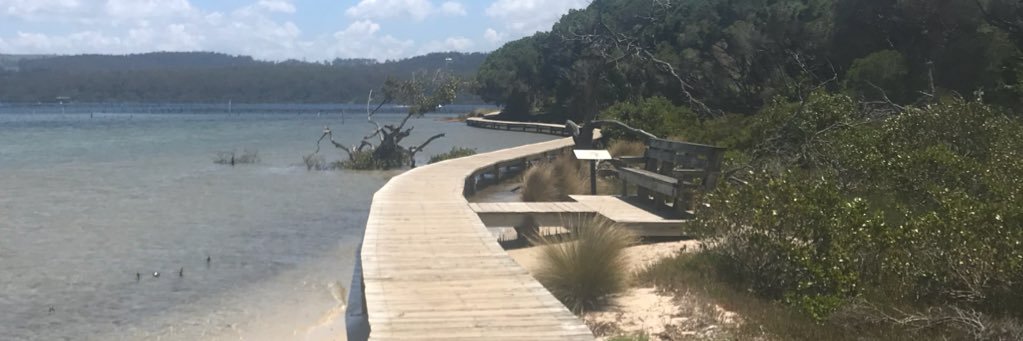 Michael Mahon banner