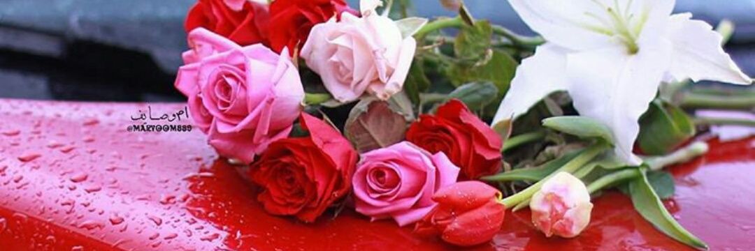 MS_j33a's profile banner image