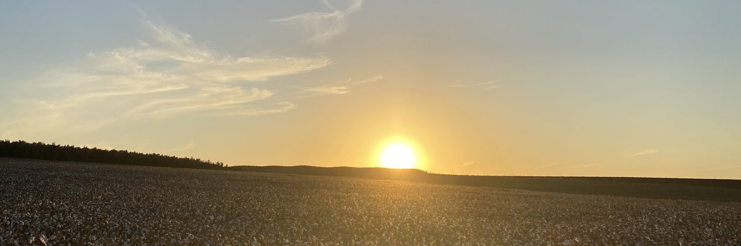 MJosePerdigon's profile banner image