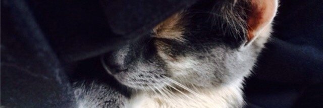 deniseex_'s profile banner image