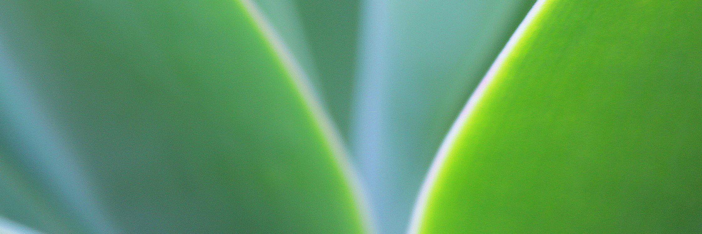 luiscaldery's profile banner image