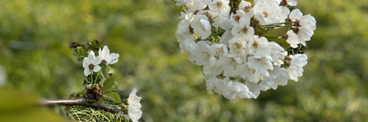 TecAisha's profile banner image