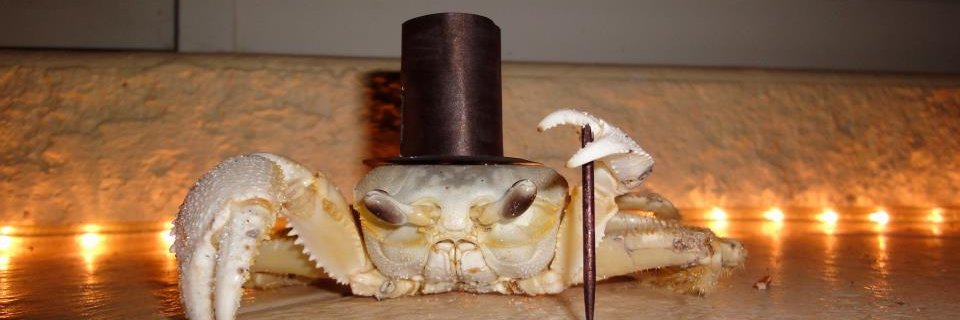 CrapTeD's profile banner image