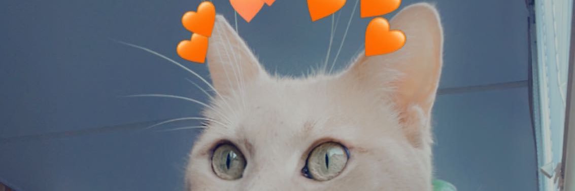 blklezbean's profile banner image