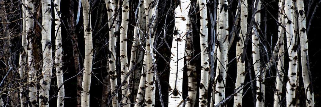 RyanTurnerPhoto banner