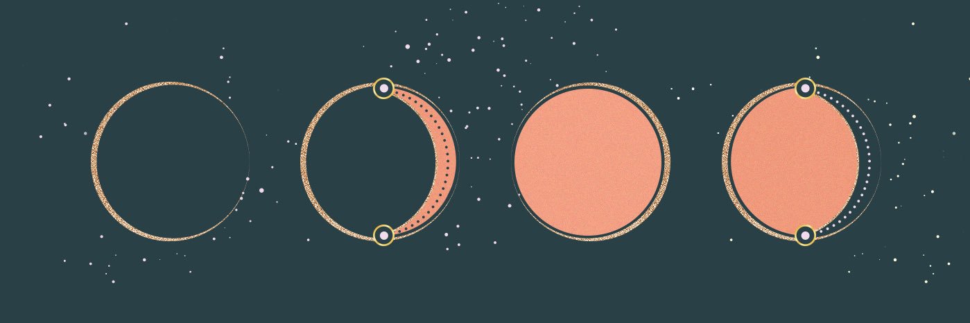 taratotsbby's profile banner image