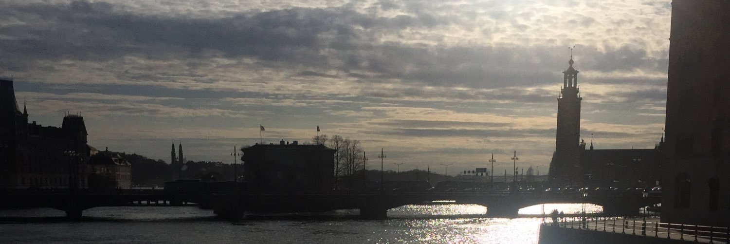 linneaessen's profile banner image