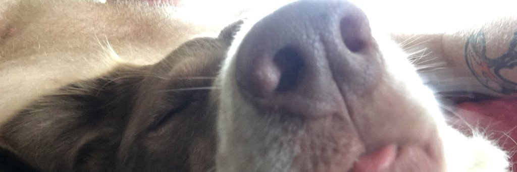 makeitrainbeau's profile banner image