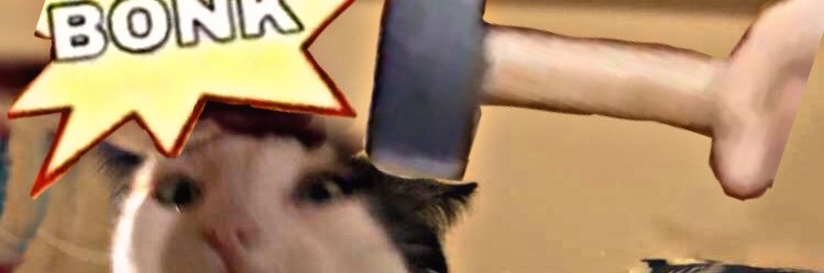 JMensh's profile banner image