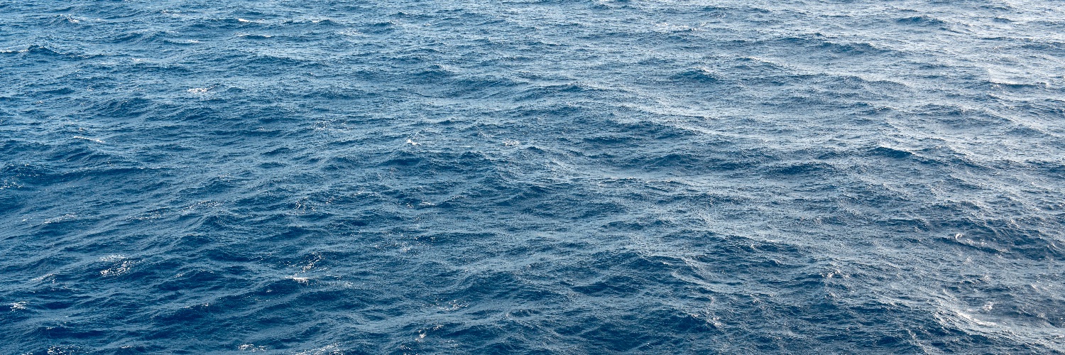 NickPomes's profile banner image
