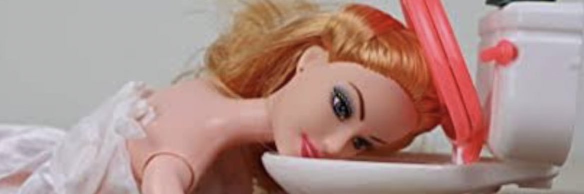 Veronica Debom banner