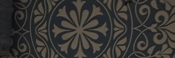 pajaroman69 Profile Banner