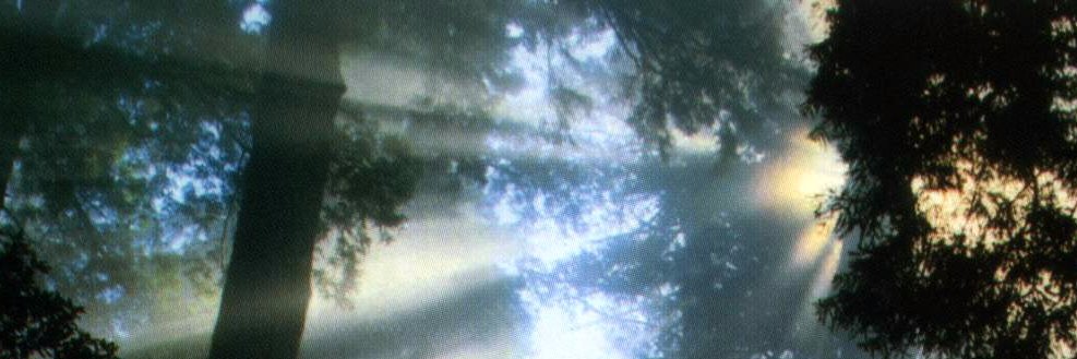 Izydro's profile banner image
