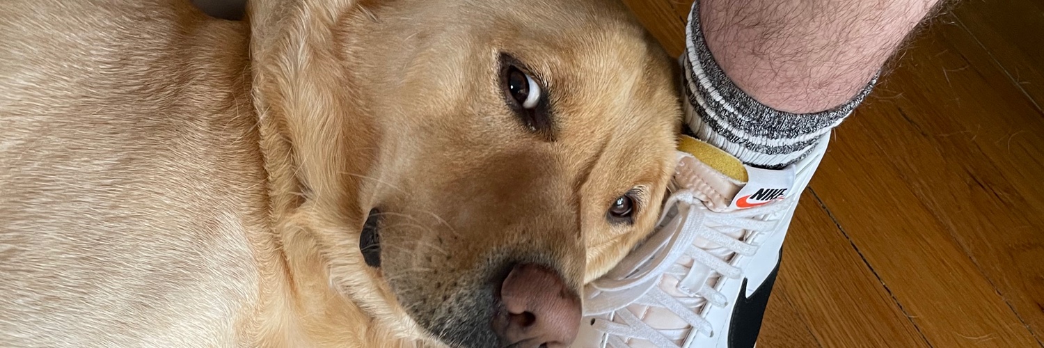 timpoolio's profile banner image