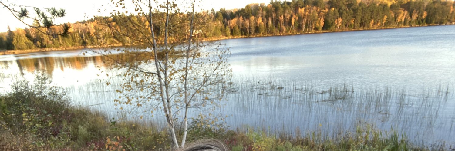ChristinaBrits's profile banner image