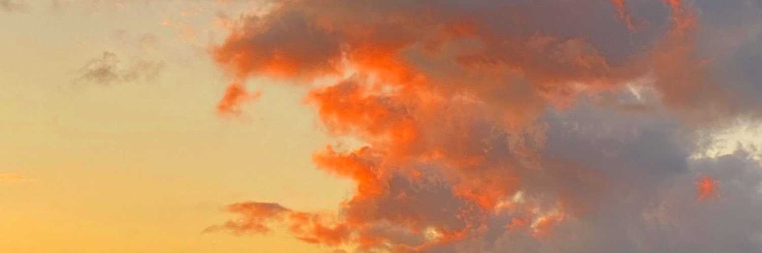 dianerosewarn's profile banner image