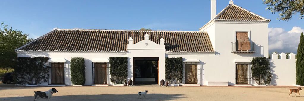 Carlos Núñez banner