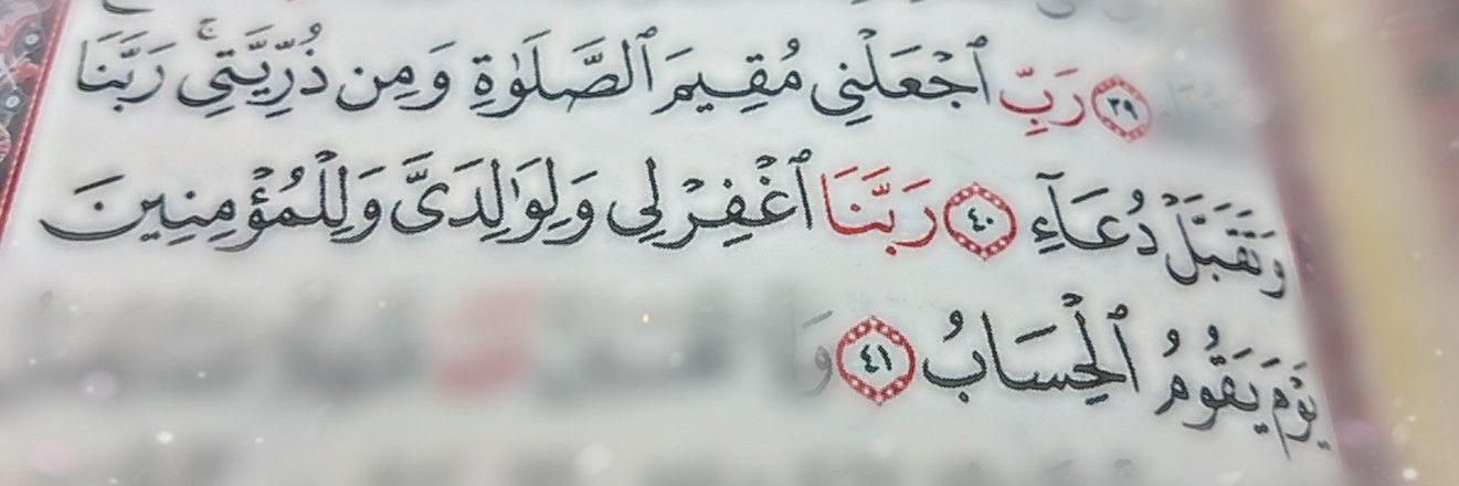 bn3aydh's profile banner image