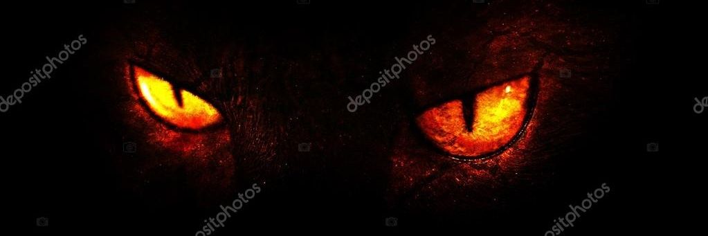 skynet1705's profile banner image