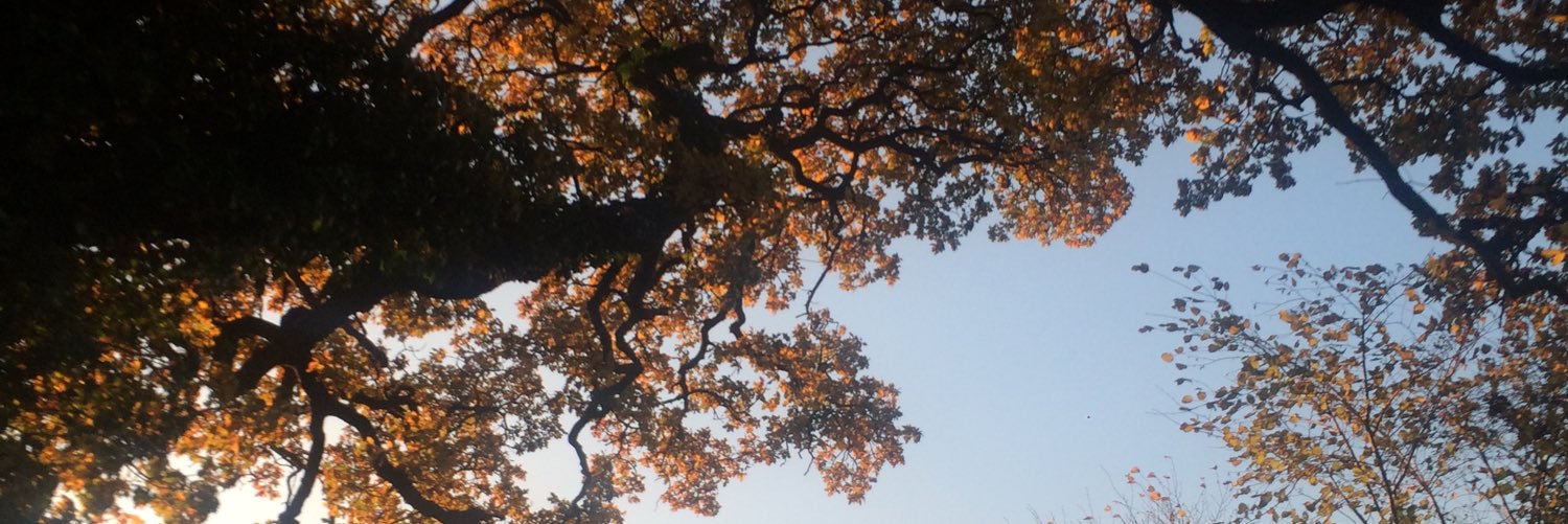 evespooner's profile banner image