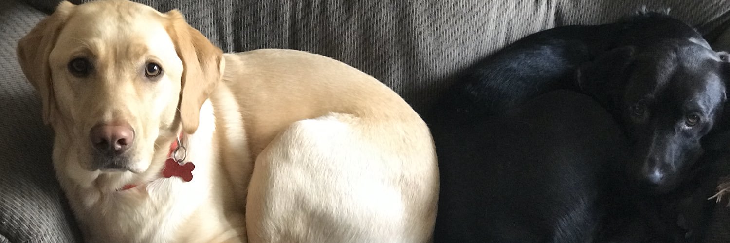 mrichh3's profile banner image