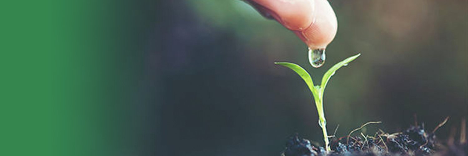 Stray Dog Capital banner