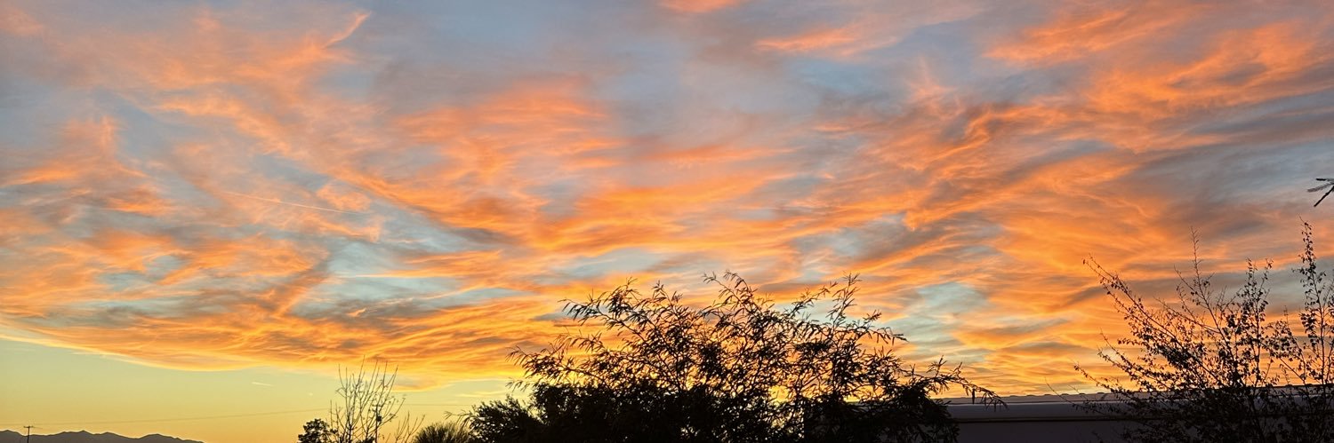 Brandon Wells banner