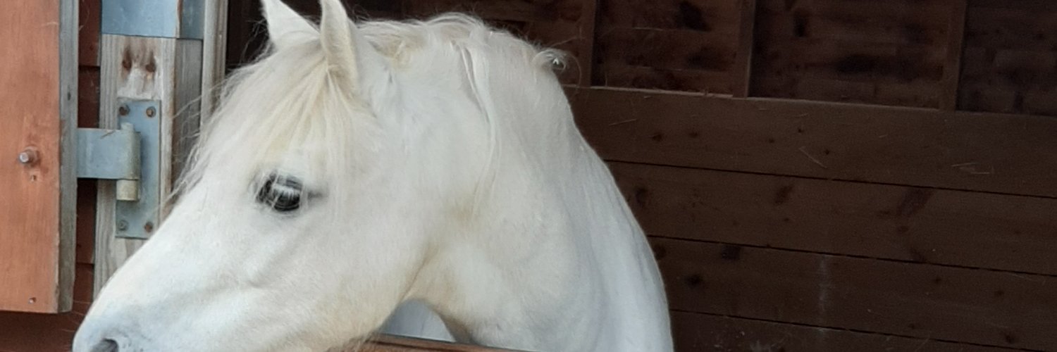 suemarskell's profile banner image