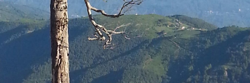 forester_67's profile banner image